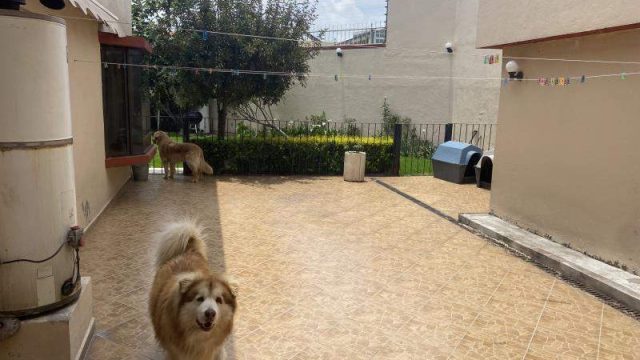 Casa en Renta 3hab Casa Magna Metepec Mexico 44