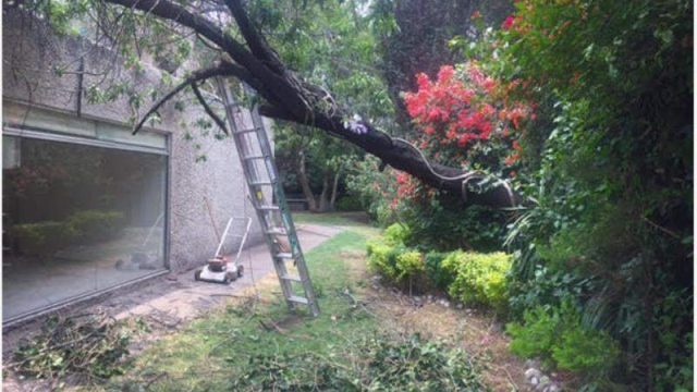 Casa en Venta 3hab Florida Alvaro Obregon CDMX 5