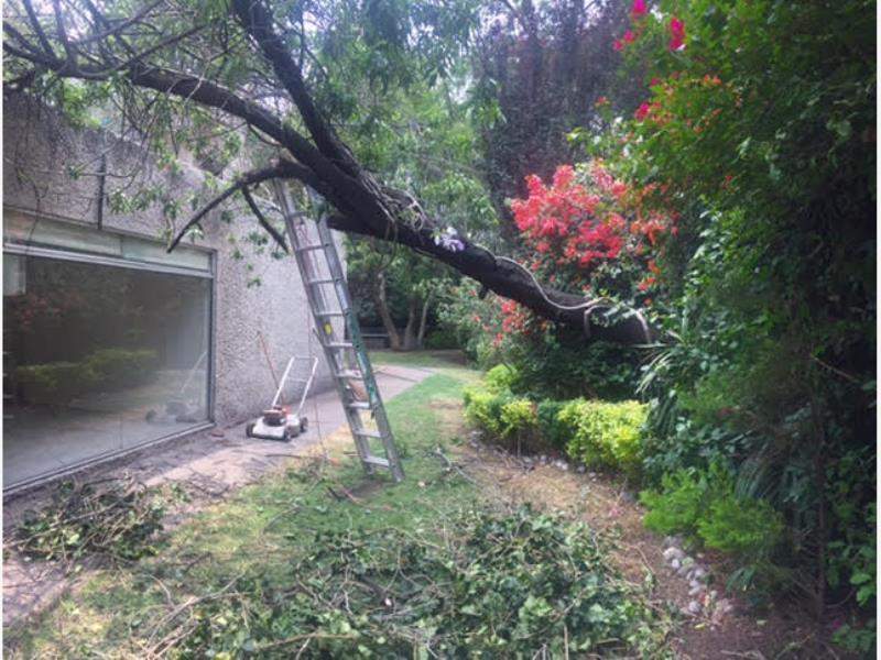 Casa en Venta 3hab Florida Alvaro Obregon CDMX 5