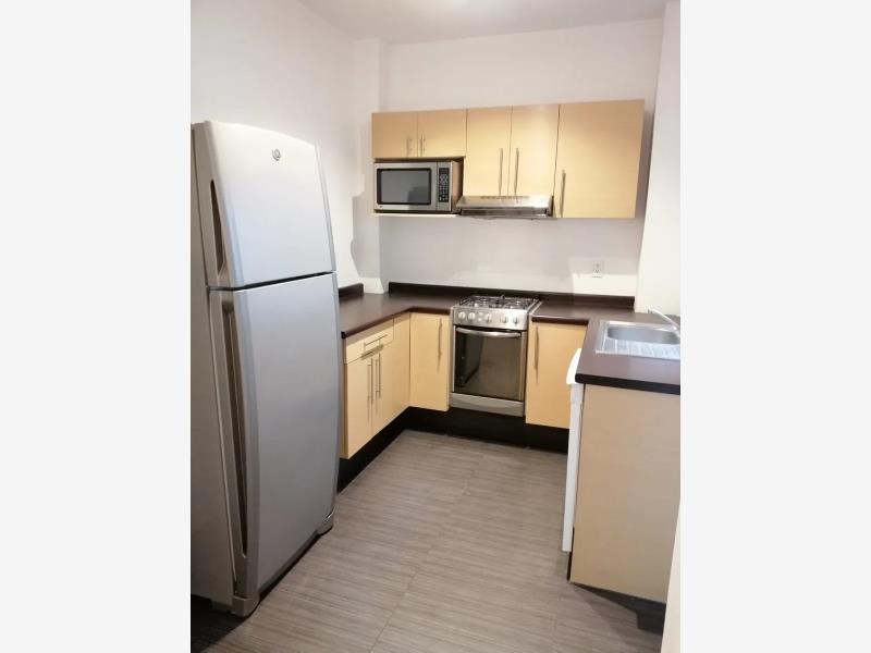 Bonito Departamento en Renta Polanco IV Seccion Miguel Hidalgo CDMX 4