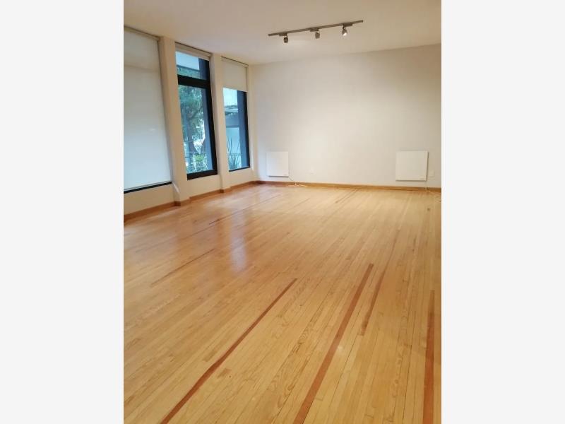 Bonito Departamento en Renta Polanco IV Seccion Miguel Hidalgo CDMX 6