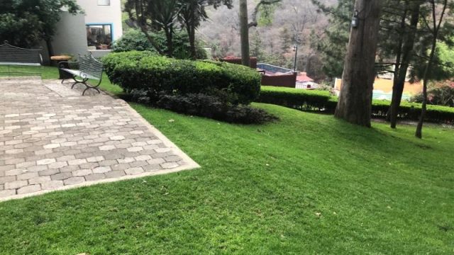 Bonito Departamento en Renta San Jose del Olivar Alvaro Obregon CDMX 5