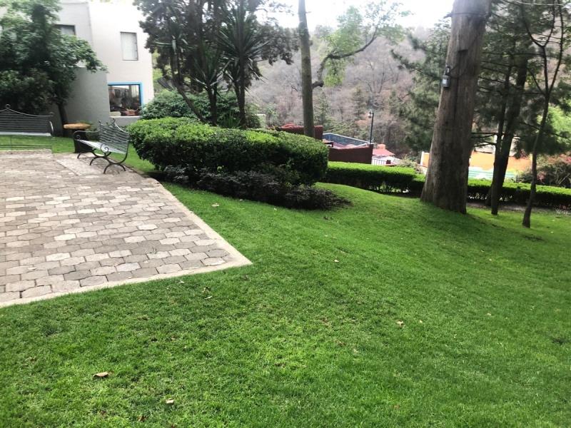 Bonito Departamento en Renta San Jose del Olivar Alvaro Obregon CDMX 5