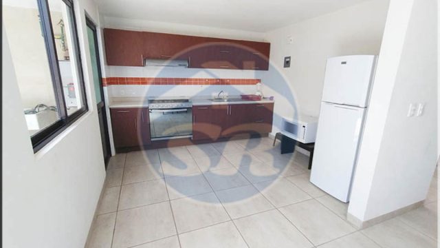 Casa en Renta 3 Hab Altavista Guadalupe Zacatecas c