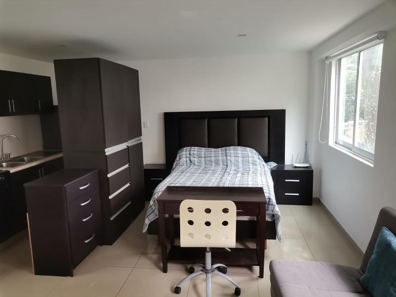 Departamento en Renta Popotla Miguel Hidalgo CDMX 3