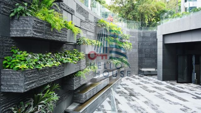 Oficina en Renta Lomas de Chapultepec I Seccion Miguel Hidalgo CDMX 2 1