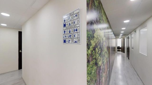 Oficina en Renta delegacion Cuauhtemoc CDMX 3