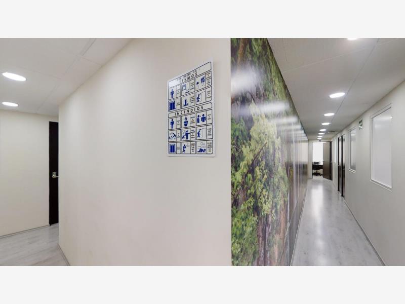 Oficina en Renta delegacion Cuauhtemoc CDMX 3