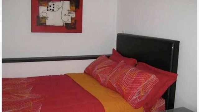 Bonito Departamento en Renta en Bosque de Chapultepec I Seccion Miguel Hidalgo CDMX 2