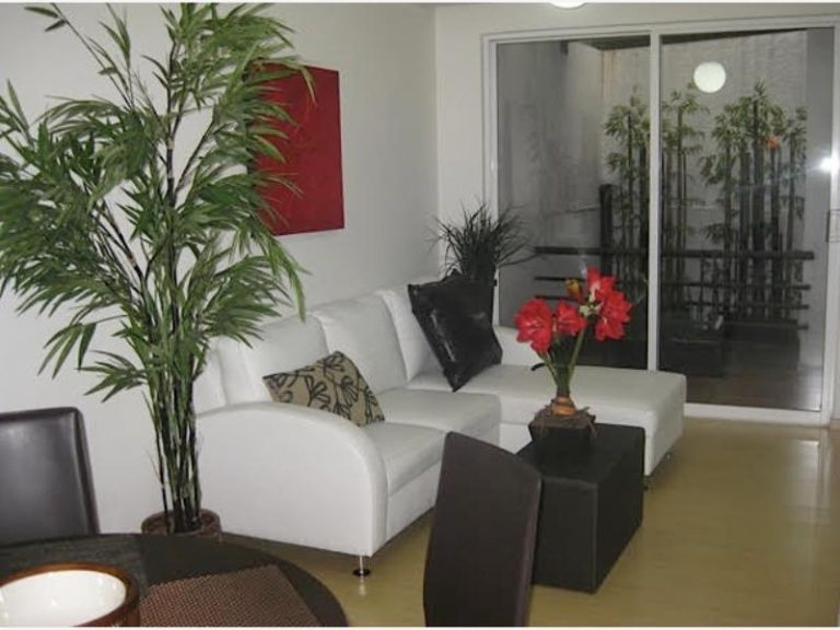 Bonito Departamento en Renta en Bosque de Chapultepec I Sección Miguel Hidalgo CDMX