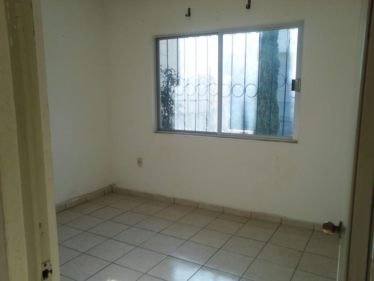 455 FOTOS 1