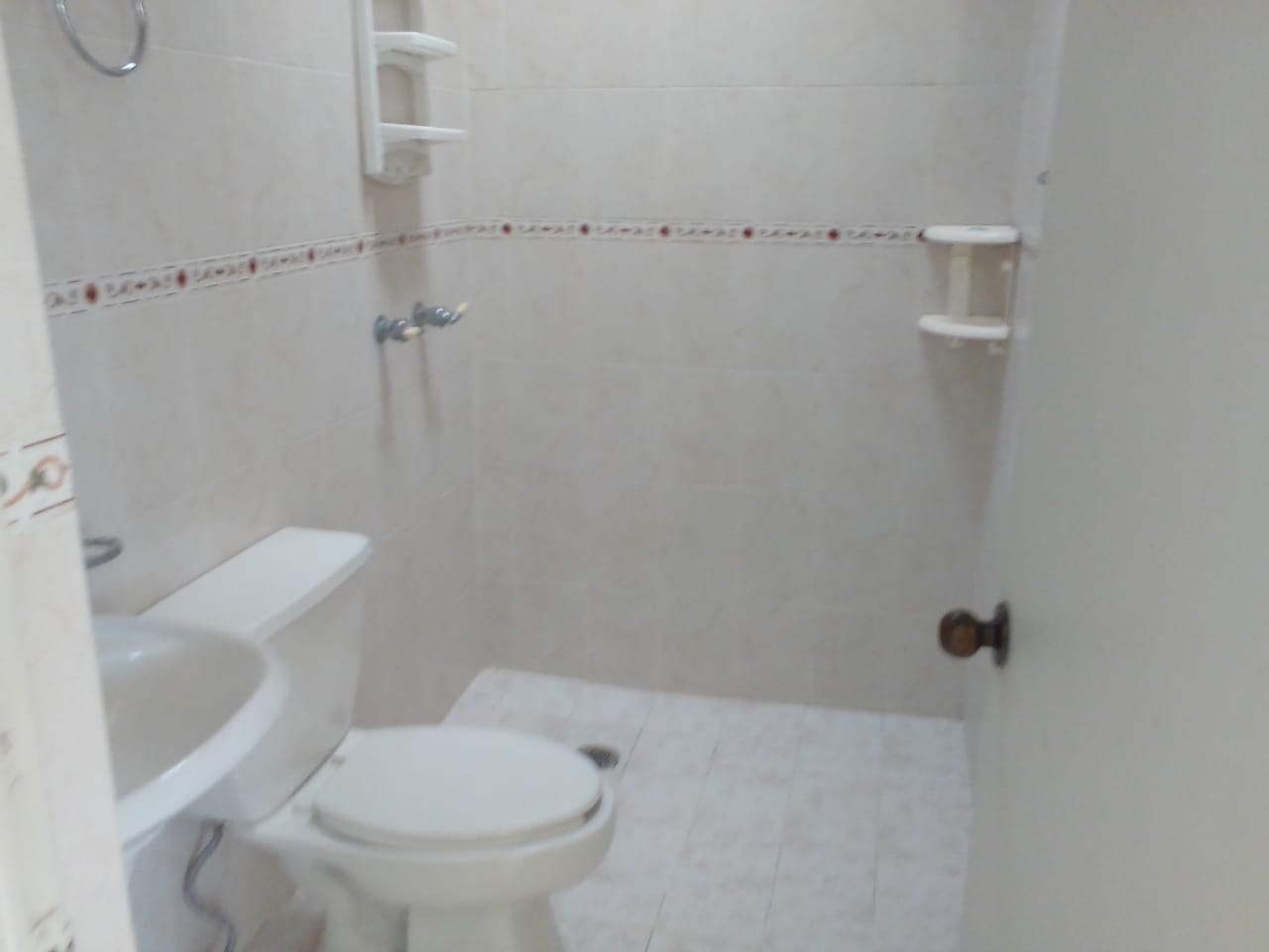 455 FOTOS 11