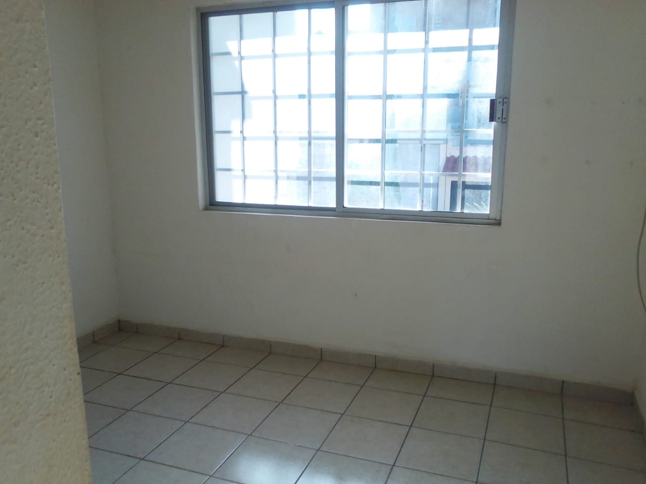 455 FOTOS 17