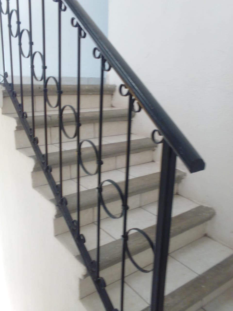 455 FOTOS 19