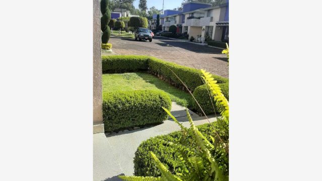 Casa en Renta en San Lorenzo Atemoaya Xochimilco CDMX 2