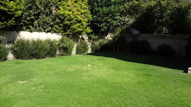 Casa en Renta en San Mateo Tlaltenango Cuajimalpa de Morelos CDMX 8