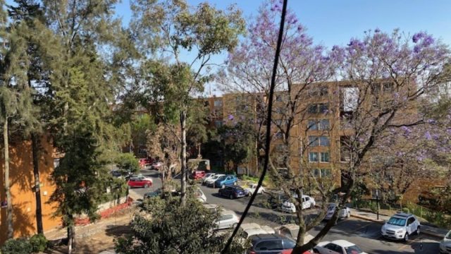 Departamento en RENTA en Belem de las Flores Alvaro Obregon CDMX 1