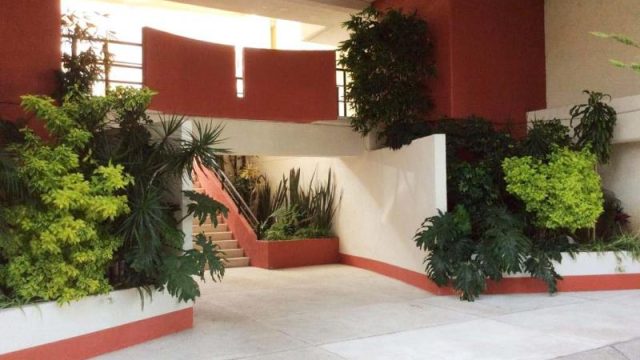 Departamento en RENTA en San Jose de los Cedros Cuajimalpa de Morelos CDMX 1