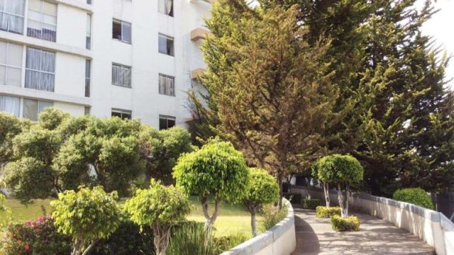 Departamento en RENTA en San Jose de los Cedros Cuajimalpa de Morelos CDMX 3