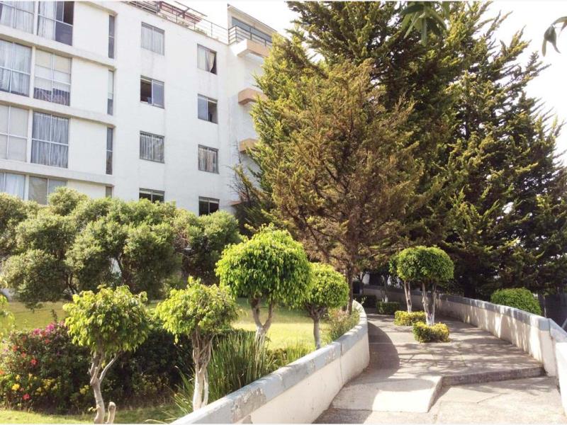 Departamento en RENTA en San Jose de los Cedros Cuajimalpa de Morelos CDMX 3
