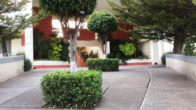 Departamento en RENTA en San Jose de los Cedros Cuajimalpa de Morelos CDMX 4