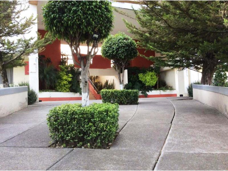 Departamento en RENTA en San Jose de los Cedros Cuajimalpa de Morelos CDMX 4