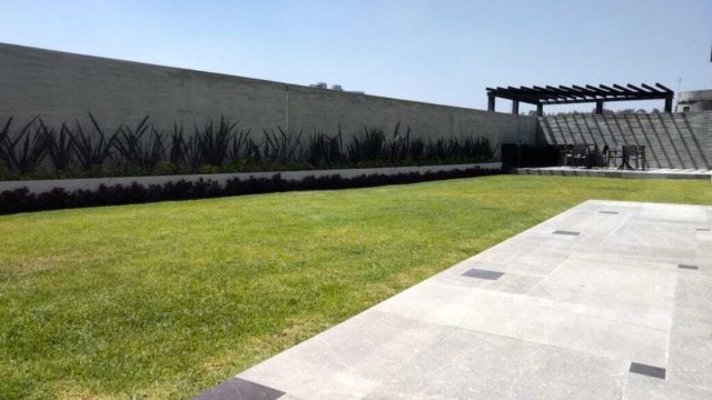 Departamento en RENTA en San Pedro de los Pinos Alvaro Obregon CDMX 2