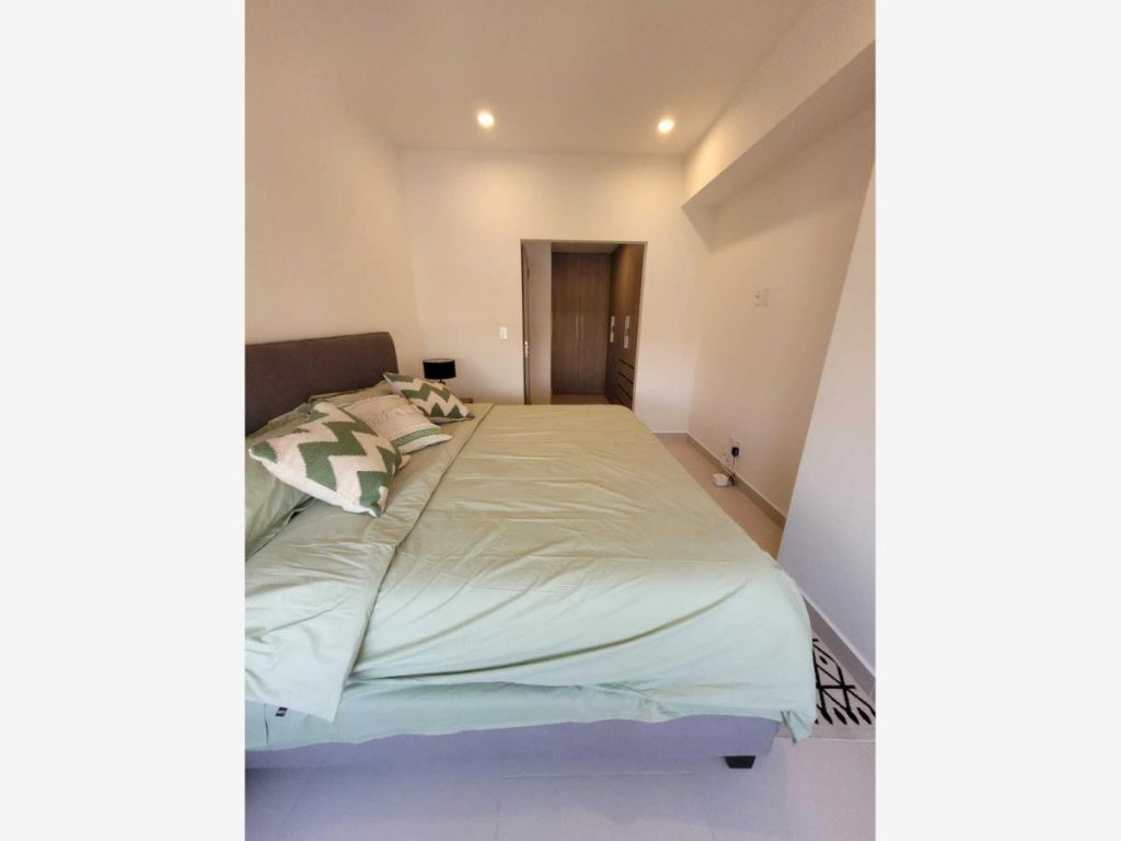 Departamento en San Pedro de los Pinos Alvaro Obregon CDMX (7)
