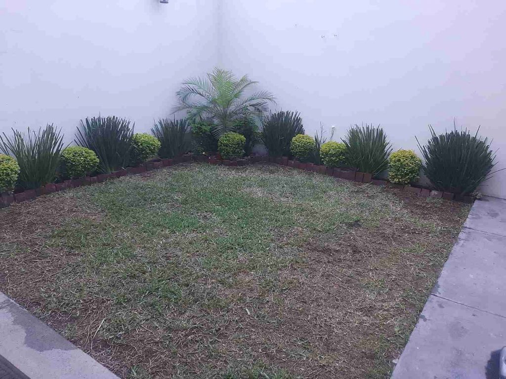 Casa en Renta en Cumbres San Agustin Monterrey Nuevo Leon (2)