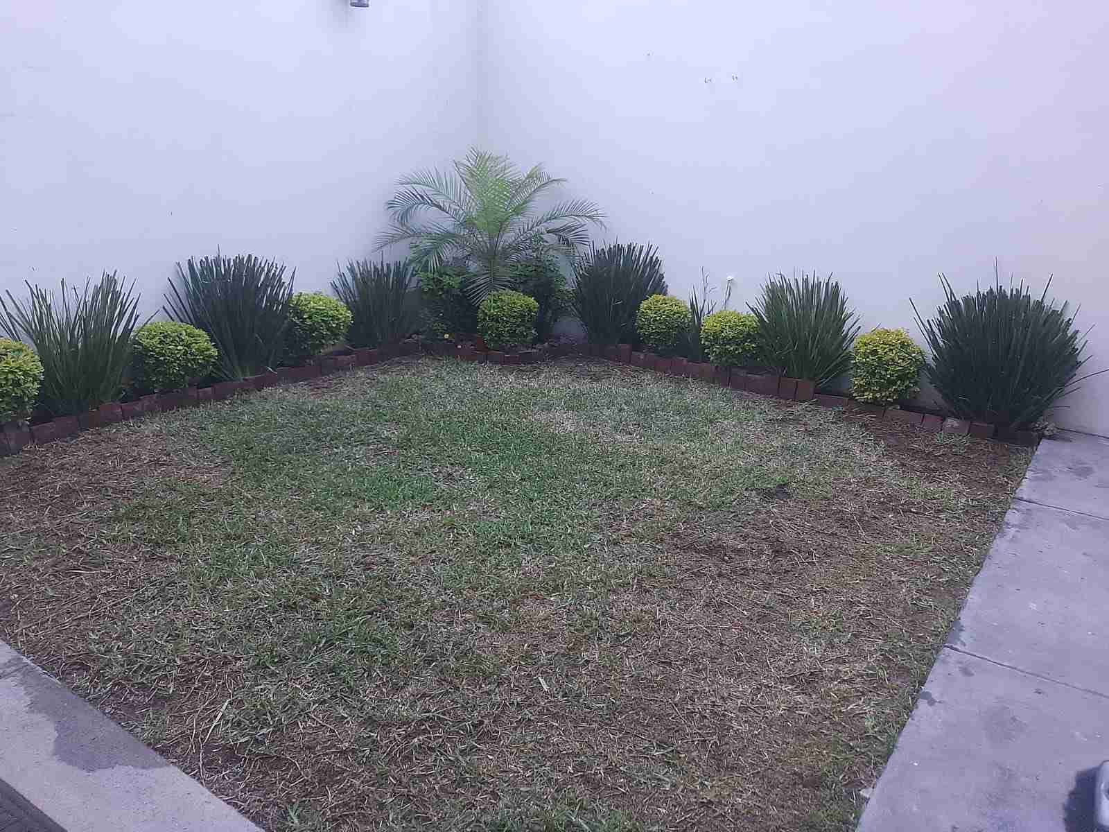 Casa en Renta en Cumbres San Agustin Monterrey Nuevo Leon (2)