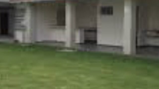 E3CCEAFB E65A 42B6 8C72 19D383CEB942