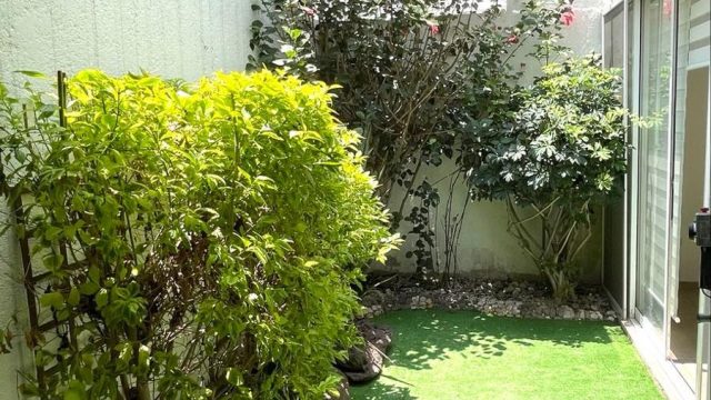 AMPLIA CASA EN RENTA EN MILENIO III A 12 MINUTOS DEL CENTRO DE QUERETARO (2)