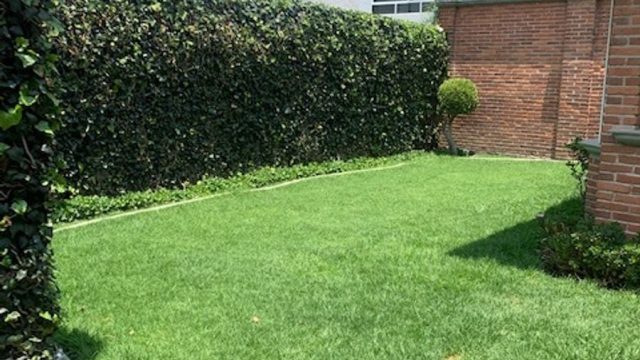 Casa en Venta Colinas del Bosque Tlalpan CDMX (7)