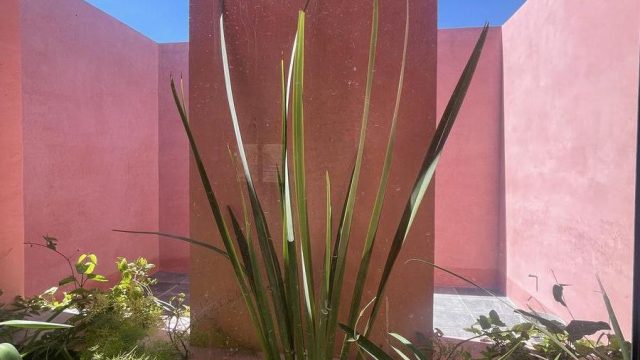 Casa en Venta o Renta en Fracc Altarica Juriquilla, Querétaro (22)