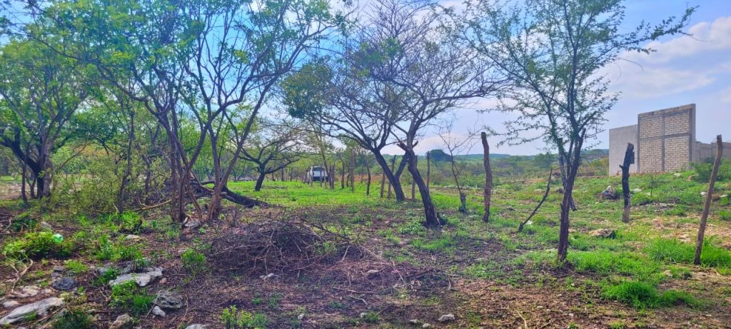 Terreno en Venta 3,472 para Quinta o Rancho Tuxtla Gutierrez Chiapas (2)