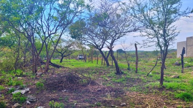 Terreno en Venta 3,472 para Quinta o Rancho Tuxtla Gutierrez Chiapas (2)