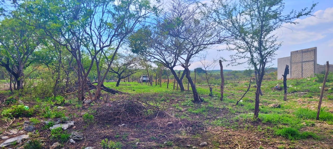 Terreno en Venta 3,472 para Quinta o Rancho Tuxtla Gutierrez Chiapas (2)