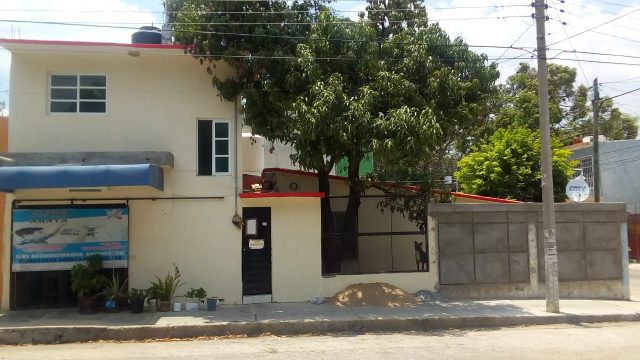 WhatsApp Image 2023 07 11 at 11.56.16 AM