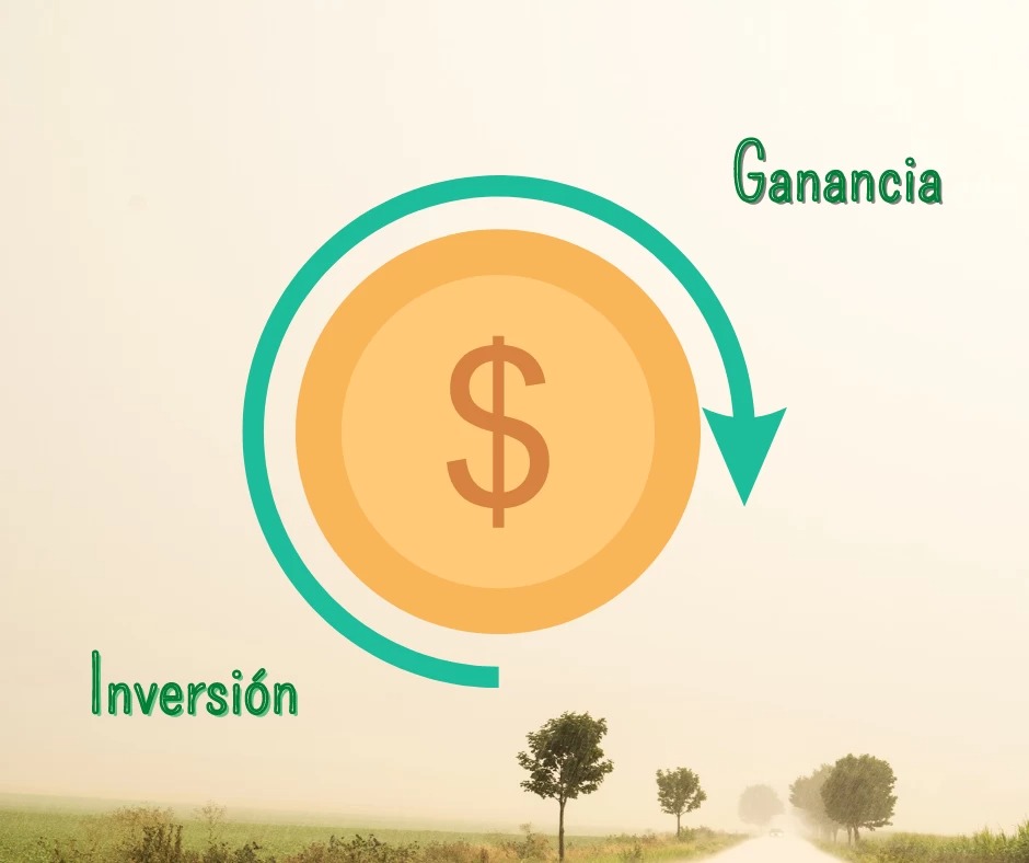 inversion bienes raices2