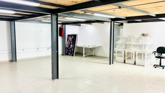 Bodega en Renta 700 M2 en Reforma Pensil Miguel Hidalgo CDMX (6)
