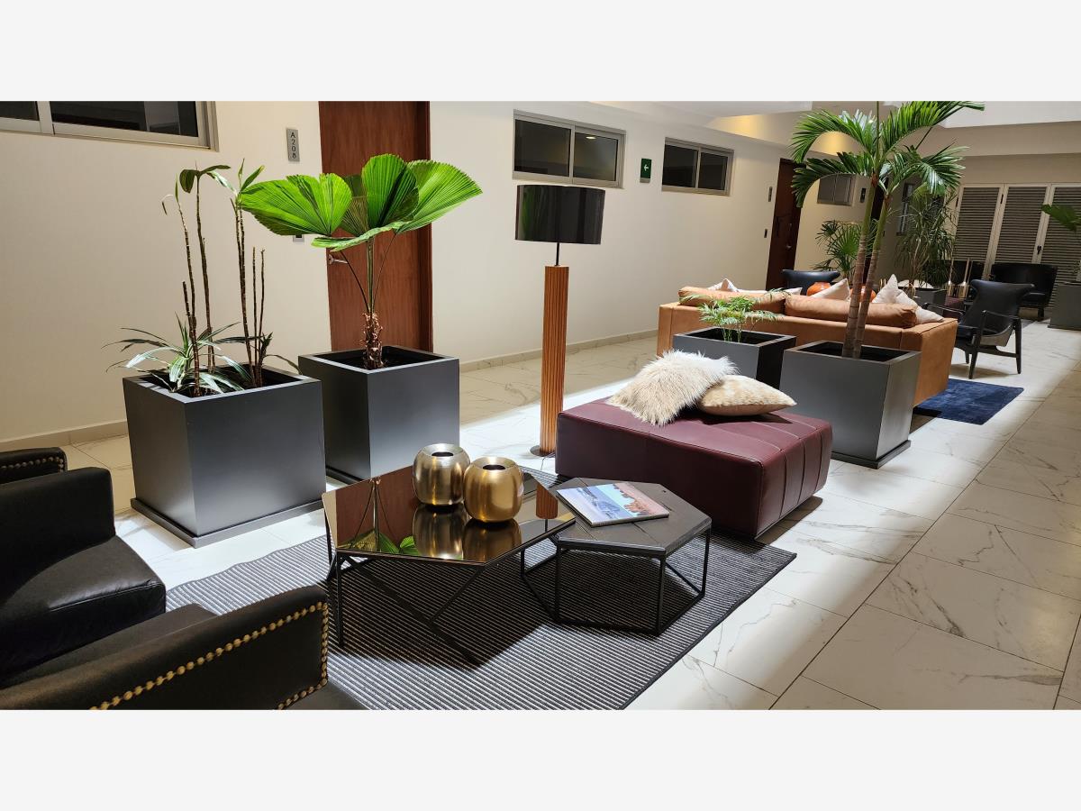 Departamento en Renta en San Jerónimo Aculco Alvaro Obregon CDMX (3)