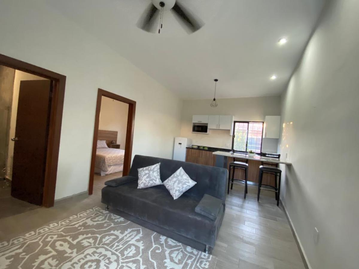 Departamento en Renta en Villa Jardín Lerdo Durango (8)