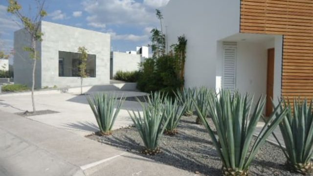 Depto de 2 plantas en condominio con vigilancia 247 muy ubicado alberca gym (5)