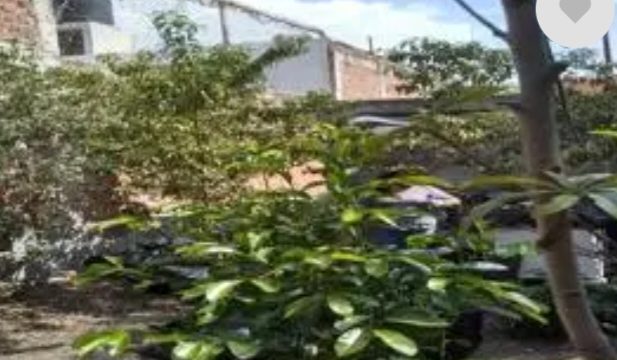 Screenshot 20230815 201113 Chrome