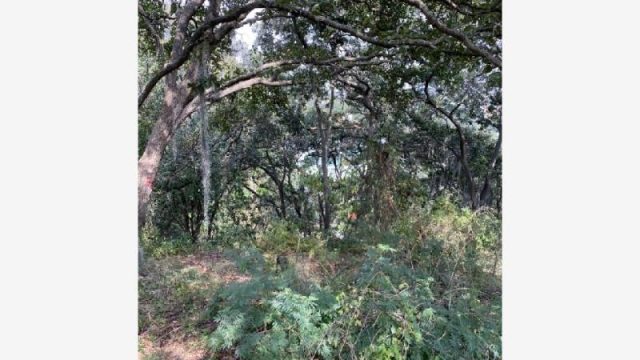 Terreno en Venta 1,471 M2 en Condado de Sayavedra Atizapan de Zaragoza EdoMex (6)