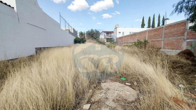 Terreno en Venta 490 M2 en Lomas de Bernardez Guadalupe Zacatecas (3)