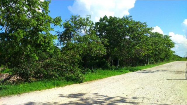 Terreno en Venta en Izamal Yucatan Mexico (6)
