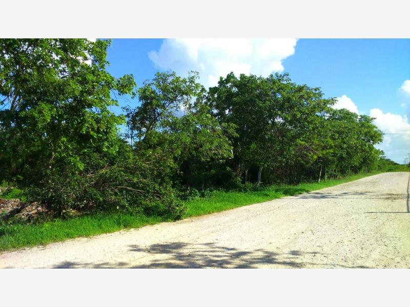 Terreno en Venta en Izamal Yucatan Mexico (6)