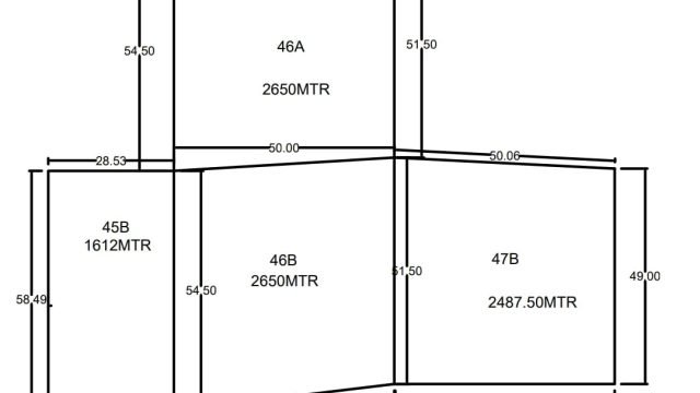 WhatsApp Image 2023 07 28 at 9.57.18 AM