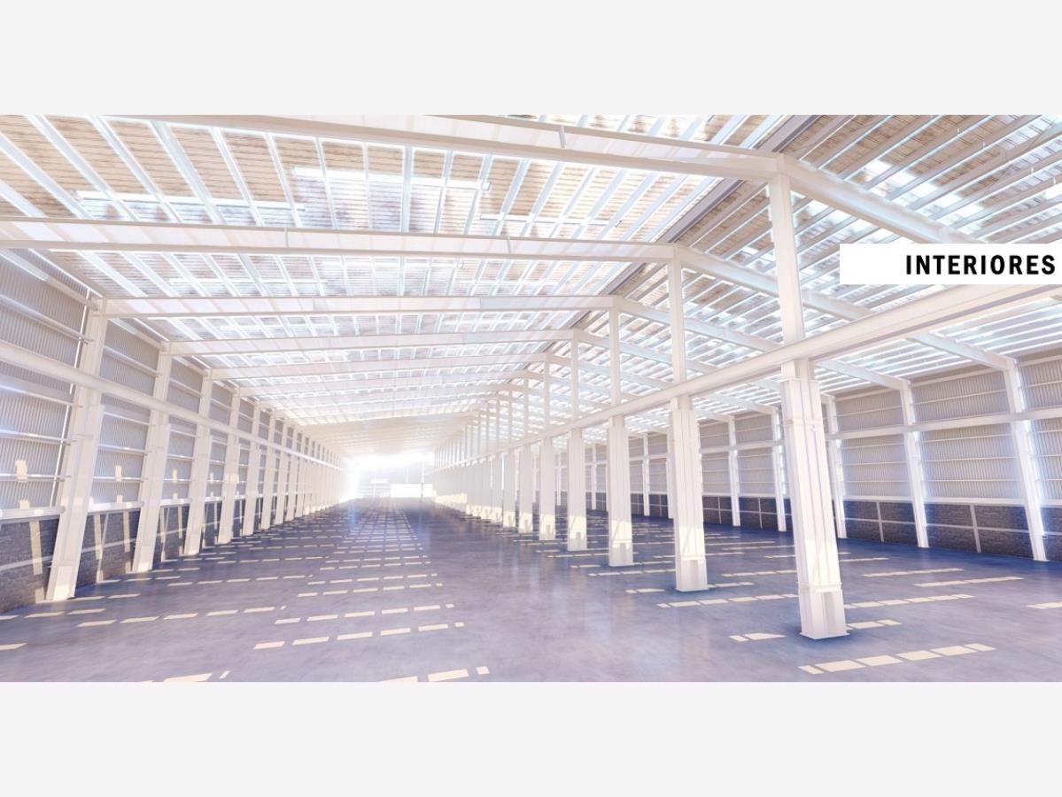 Bodega en Renta 10,000 M2 en Moderna Monterrey Nuevo Leon (5)